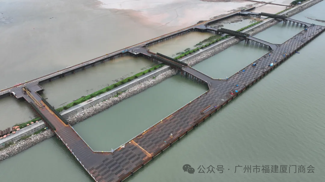 会员企业风采 | 广州市德承航务工程有限公司：深耕工程服务，铸就专业品质